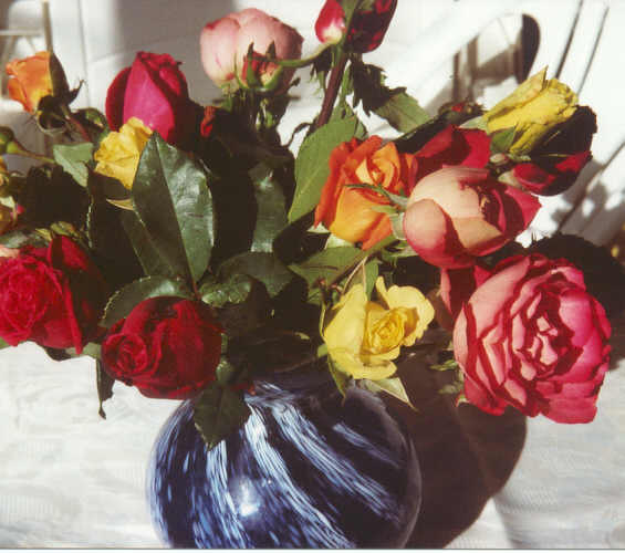 Rosen in Vase.jpg (40315 Byte)